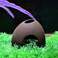 Miniatyrbilde 2 av 5: Akvarium dekorativ dekorativ ornament, keramisk gjemmested fisk reker