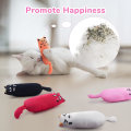 Miniatyrbild 3 av 5: 5 st Catnip Bite Resistant Chew Toy fylld med Catnip Cartoon Mo