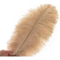 Miniatyrbillede 2 af 5: 24 stk. Naturlige hvide strudsefjer 10-12 tommer (25-30 cm) til bryllup