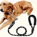 Miniatyrbillede 3 af 5: Hunde line, hunde line med blødt polstret håndtag, meget reflekterende T