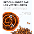 Miniatyrbillede 4 af 5: Anti-glutton langsom madskål til hunde - størrelse M/mini - orange