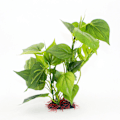 Miniatyrbillede 1 af 5: 30cm Kunstig Akvarieplante Realistisk Udseende Akvarie Orna