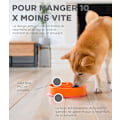 Miniatyrbillede 5 af 5: Anti-glutton langsom madskål til hunde - størrelse M/mini - orange