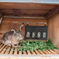 Miniatyrbillede 5 af 5: 2 stk. høpose kanin foderautomat hø rack hø net til dværgkanin