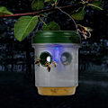 Miniatyrbild 4 av 5: LED-fälla för fruktflugor, getingar och myggor - Solcells-LED-fälla för flugor