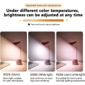 Miniatyrbilde 4 av 5: Skrivebordslampe, LED-bordlampe 3 lysmoduser og berøringssensor, 360°