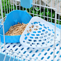 Miniatyrbillede 2 af 5: Pottetræningshjørne-toiletbakke til hamster, marsvin, ilder og gerbil
