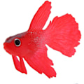 Miniatyrbilde 4 av 5: Falsk fisk, falsk kunstig fisk akvariefisk dekorasjon falsk akv