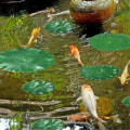 Miniatyrbillede 2 af 5: 10 stk. kunstige flydende lotusblade til damdekoration