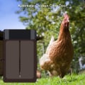 Miniatyrbild 2 av 5: Automatisk hönshusdörr, batteridriven automatisk hönskoja