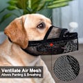 Miniatyrbillede 5 af 5: Nylon Muselix til små og mellemstore hunde - Åndbar mesh, drikkevenlig