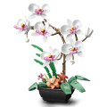 Miniatyrbild 1 av 5: Orkidé Blomster Byggsatser, Botanisk Samling av Artificiella F