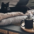 Miniatyrbillede 3 af 5: Kat Silikon Teinfuser