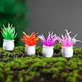 Miniatyrbillede 1 af 5: 3-5 cm simuleret pottegrossist mini plante model færdig rund kunst landskab mikro landskab ornamenter(4 stk)
