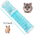 Miniatyrbillede 4 af 5: Hamster Rør, Udendørs Eventyr Rør, Transparente Materialer, Ha