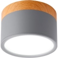 Miniatyrbilde 1 av 5: Overflate montert takspotlight Rund LED Scrub Grå Kald Hvit
