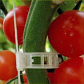 Miniatyrbillede 3 af 5: 100 stk. Haveklemmer til planter, til at binde planter, snor, espalier
