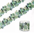 Miniatyrbild 5 av 5: 2 rullar 10m x 7,6 cm Borders Stickers Board Border Border Trim