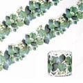 Miniatyrbillede 5 af 5: 2 stk 10m x 7,6 cm Borders Stickers Board Border Border Trim