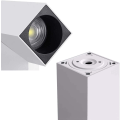 Miniatyrbilde 3 av 5: 12W LED-spotlights for takmontering - Justerbar spotlightstang Industr