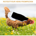Miniatyrbild 3 av 5: Kycklingsförkläde, kycklingsadel för hönor, bakre bakgrundsfjäder C