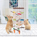 Pikkukuva 4 / 5: Luonnollinen omenapuu jyrsintä lelu kani kani chinchilla marsu P