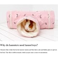 Pikkukuva 4 / 5: Taitettava hamsterileikkitunneli Pienille lemmikkieläimille Suoja Lemmikkilelu Nes