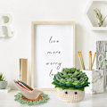 Miniatyrbild 4 av 5: Virka Kit för Nybörjare, 6 st Virkade Underlägg, Blomma Krukväxt Virka med Virknål, Färgglad Garn
