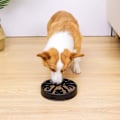 Miniatyrbillede 4 af 4: Langsom foderhundemadsskål, kæledyr langsom fodringsplade, labyrint interaktiv hundepuslespil, sjov foderudvidelse stop langsom skål, ikke-giftig og anti-kvælning,