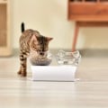 Miniatyrbild 3 av 6: Upphöjd lutande dubbel matskål för husdjur, katt- och hundskålar för husdjurs nackskydd