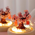 Miniatyrbillede 4 af 5: DIY Håndlavet Sakura Natlys Kreativ Atmosfærisk Lys Soveværelse Varmt Dekoration Pynt Gave til Venner Drenge