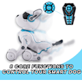 Miniatyrbillede 3 af 7: Top Race Programmerbar Robot Hundelegetøj - Fjernbetjent kæledyr med touch-funktion, stemmestyring til børn 5-7 - Genopladeligt smart dyre legetøj