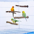 Pikkukuva 4 / 4: 4-osainen linnun orsi, papukaijaseisontateline, luonnonpuinen orsi, papukaijaleikkikalu, linnunhäkin tarvikkeet, conure-tarvikkeet, undulaattialusta