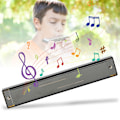 Miniatyrbillede 3 af 7: Professionel mundharmonika diatonisk harpe børnegaver polyfonisk C-nøgle 24 huller (Glossy Black )