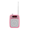 Miniatyrbilde 2 av 7: M301 Bærbar FM-radio Opptakshøyttaler Multifunksjon Stemmeforsterker Mikrofon Høyttaler for Lærerguide med BelteRosa