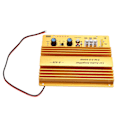 Miniatyrbild 5 av 7: Bilförstärkarkort 800W Hög effekt Aluminiumlegering Kraftfull bas Subwoofer-kort för bilhögtalare 12V