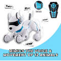 Miniatyrbillede 2 af 7: Top Race Programmerbar Robot Hundelegetøj - Fjernbetjent kæledyr med touch-funktion, stemmestyring til børn 5-7 - Genopladeligt smart dyre legetøj