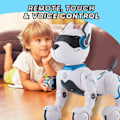 Miniatyrbild 6 av 7: Top Race Programmerbar Robot Hund Leksak - Fjärrkontroll Husdjur med Touch Funktion, Röststyrning för Barn 5-7 - Uppladdningsbar Smart Djur Leksak