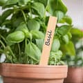 30-pack bambuplantpinnar 15,3x2CM trädgårdsetiketter hållbara bambumarkörer för växtidentifiering