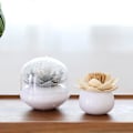Miniatyrbillede 5 af 5: Bomulds Puder Holder, Lotus Formet Tandstikker Bud Uldsvamp Dispenser Organizer Beholder Badeværelse Opbevaringsboks (grå+beige 2stk)