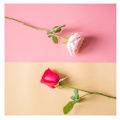 Miniatyrbilde 5 av 5: 70x140cm Fotobakgrunnstavle PVC Matt Tavle Fotobakgrunnstoff Ensfarget Rekvisitter 70