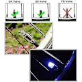 Miniatyrbilde 2 av 4: 4 stk. LED-lys til ventilhetter for bil, SUV, hjul og dekk