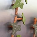 Pikkukuva 4 / 5: Ivy-jääkaappimagneetti nivellettyine varsiine, 3D-tulostettuja magneetteja jääkaappiin