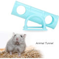 Miniatyrbild 3 av 5: Hamstertunnel, Gungbräda, Lektunnel, Rör, Plast, Smådjurslekplats, Leksak för Dvärghamster (1 st, Blå)