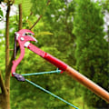 Pikkukuva 1 / 5: Gren Hck Trdgrdssktsel Busk Stngsax Verktygssats Tillbehr Sheers Clippers Handvxter Kutter Hga Grensaxar, Hghjdssaxar, Grensaxar