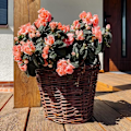 Miniatyrbillede 2 af 4: Creative Home Dark Wicker Planter | Højde 30 cm | Håndvævet | Indvendig beskyttelse | Opbevaring af blomsterpotter kastanj