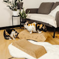 Pikkukuva 2 / 4: CREATIVE PETS Kissan raapimistolppa - Aaltopahvi - Suojaa huonekalujasi - 57 x 21 x 8 cm Ljusbrun