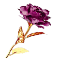 Miniatyrbillede 2 af 5: XJ-Evighedsrose - Lilla med Guldstilk