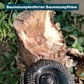 Miniatyrbillede 2 af 4: Slibeskiver til træ 125 mm, 3 skiver til formning, slibning og skæring. Slibeskive til vinkelsliber