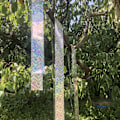 Miniatyrbild 4 av 5: Fågelskrämma Tejp Dubbelsidig Holografisk Reflekterande Tejp för att Hålla Borta Hackspettar, Duvor, Hökar, Gracklar och Andra Fåglar